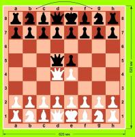 Доска шахматная демонстрационная 62х62 см. Цельная