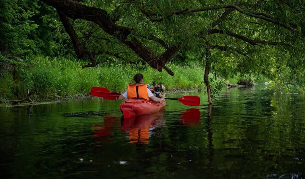гвардейский район