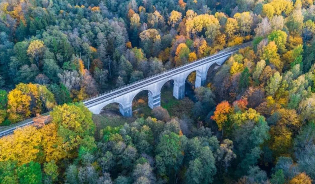 роминтейская пуща