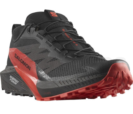 Кроссовки SALOMON Sense Ride 5 L47214300