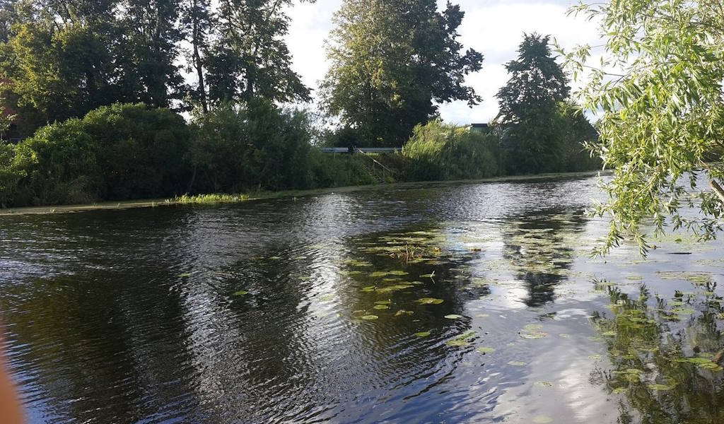 полесский район