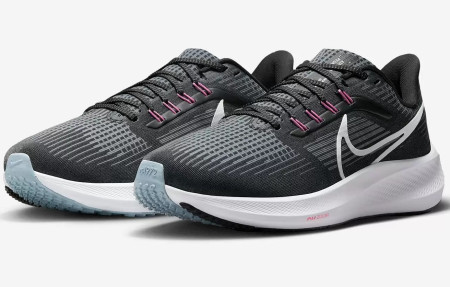 Кроссовки NIKE Pegasus 39 Extra Wide M DH4071-010