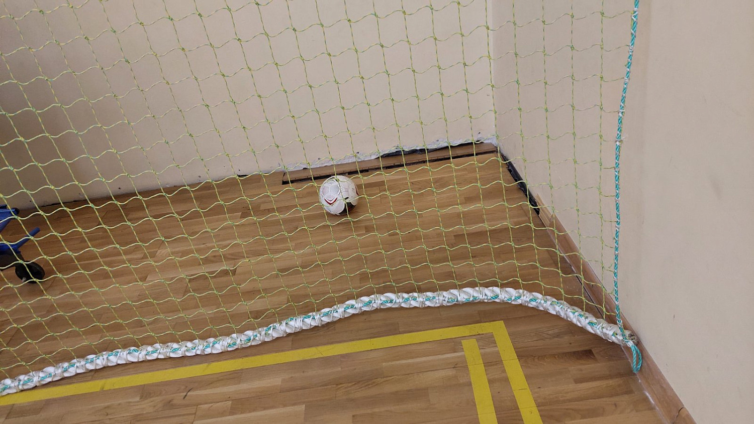 Православная гимназия защитная сетка