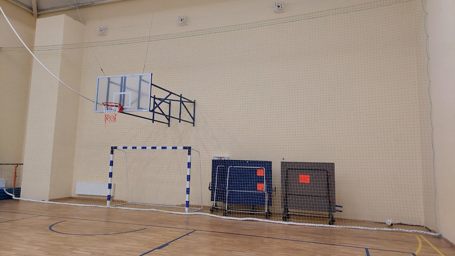 Православная гимназия защитная сетка