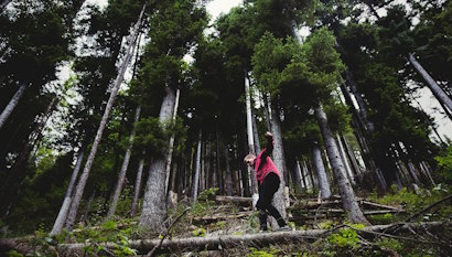 Лучшие кроссовки для походов и треккинга Лучшие кроссовки для походов и треккинга